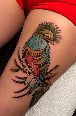 quetzal bird tattoo by dave wah at stay humble tattoo company in baltimore maryland the best tattoo shop and artist in baltimore maryland