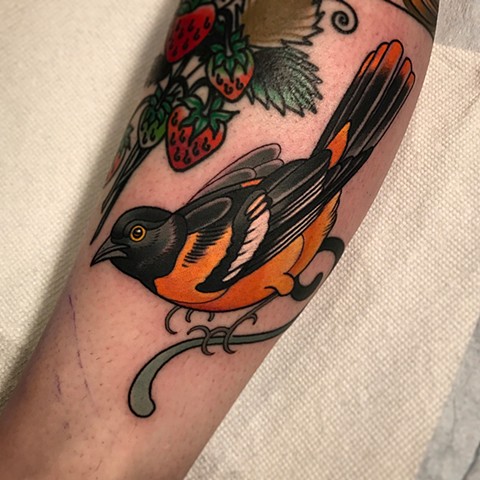 oriole bird tattoo by dave wah at stay humble tattoo company in baltimore maryland the best tattoo shop and artist in baltimore maryland