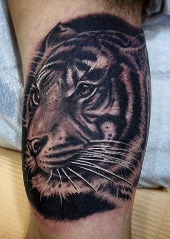 black and grey tiger tattoo by dave wah