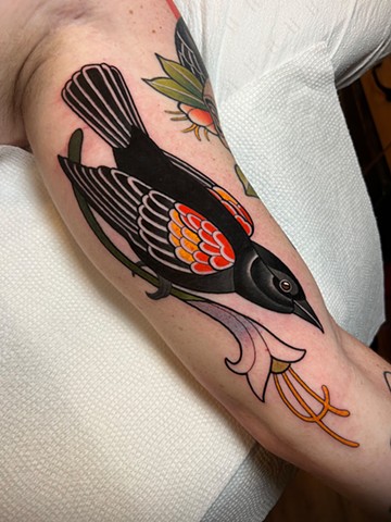 red winged black bird tattoo by dave wah