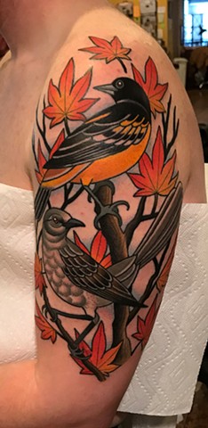 oriole bird and mockingbird tattoo by dave wah at stay humble tattoo company in baltimore maryland the best tattoo shop and artist in baltimore maryland