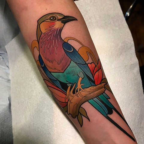 lilac breasted roller bird tattoo by dave wah at stay humble tattoo company in baltimore maryland the best tattoo shop and artist in baltimore maryland