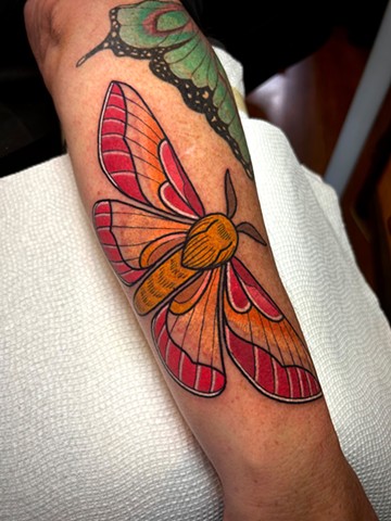 moth tattoo by dave wah