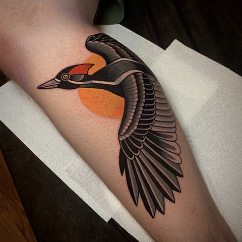pileated woodpecker tattoo by tattoo artist dave wah at stay humble tattoo company in baltimore maryland the best tattoo shop in baltimore maryland