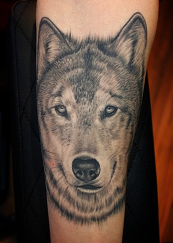 wolf tattoo by dave wah at stay humble tattoo company in baltimore maryland