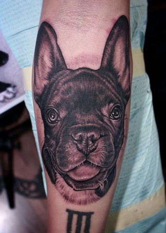 french bulldog portrait tattoo by dave wah at stay humble tattoo company in baltimore maryland