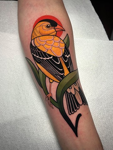 gold finch tattoo by dave wah