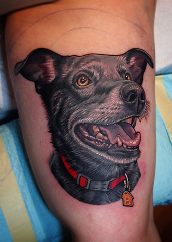 Dog portrait tattoo by dave wah at stay humble tattoo company in baltimore maryland
