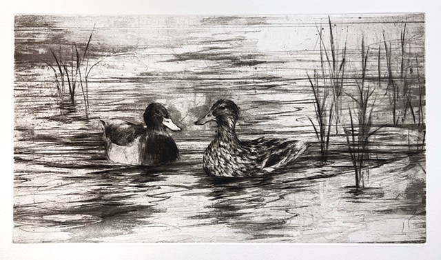 Mallards along the Anacostia