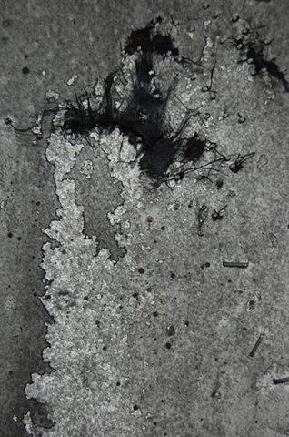 Detritus (grey-scale)
