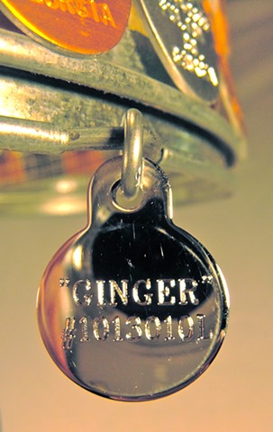 #1013010L  "Ginger"