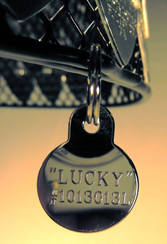 #1013013L  "Lucky"