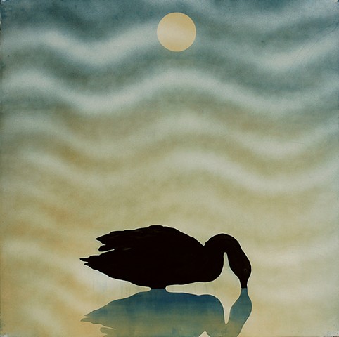 dark black goose