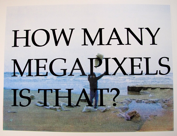 How Many Megapixels Is That? 1/4