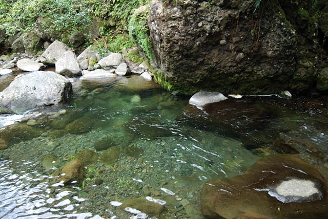 Inviting Pools