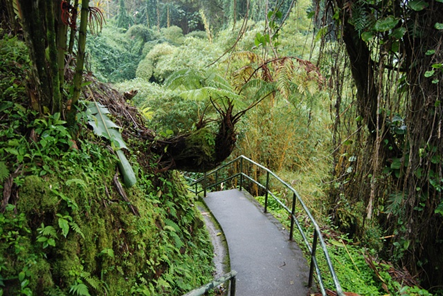 Akaka Falls
Kona, HI