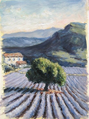 lavender provence oil painting Carrie Mitchell