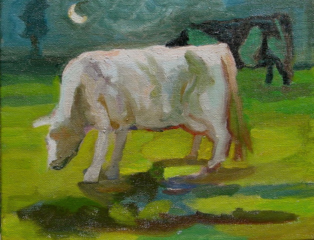 cows in moomlight Beechtree Farm Hopewell NJ
