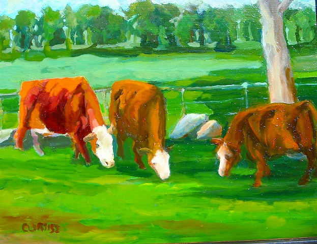 Beech Tree Farm  is an Organic Farm  with a herd of cows in Hopewell, NJ