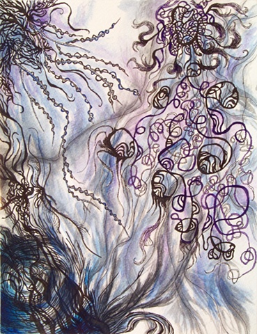 Blue Tendril Study