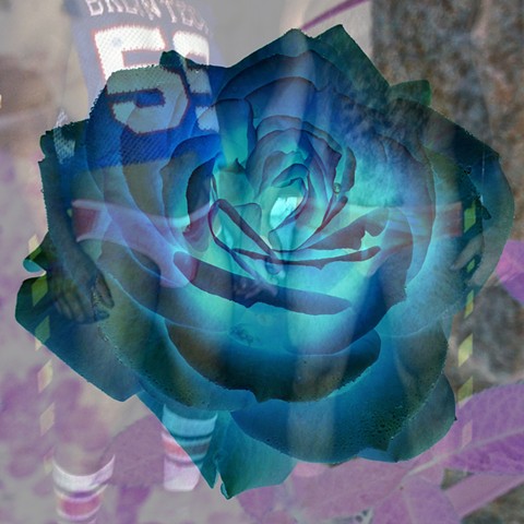 Roseboys 1