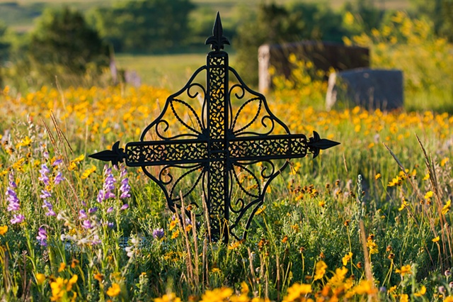Elbert Cemetery Colorado Pioneer wildflowers