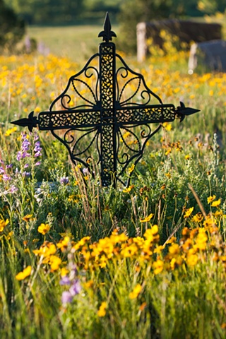 celtic cross cemetery elbert wildflowers colorado