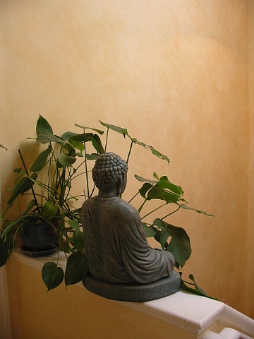Buddha hallway in Sebastopol, California 