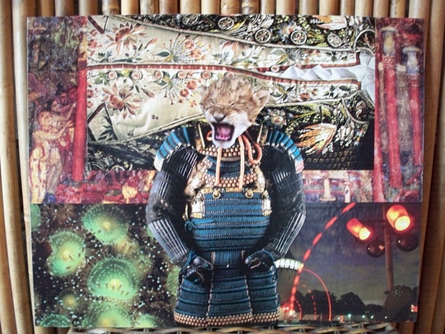 Samarai Cat