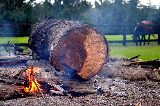 Yin Yang Harvest Fire Log