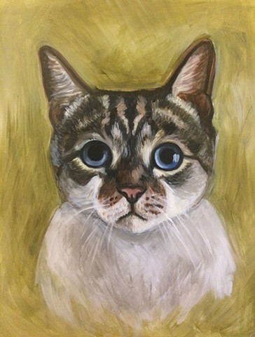 commissioned oil portrait of cat, portrait of cat, pet portrait