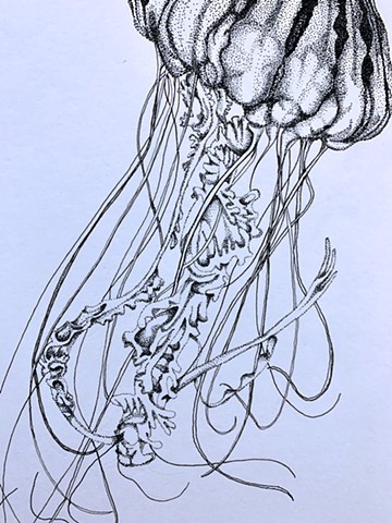 Jellyfish - Detail, tentacles