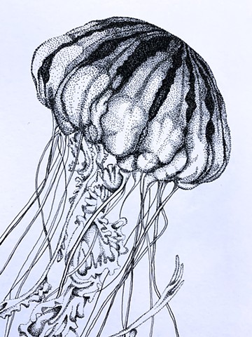 Jellyfish - Detail, top