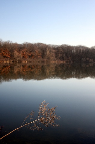 at the forest preserve