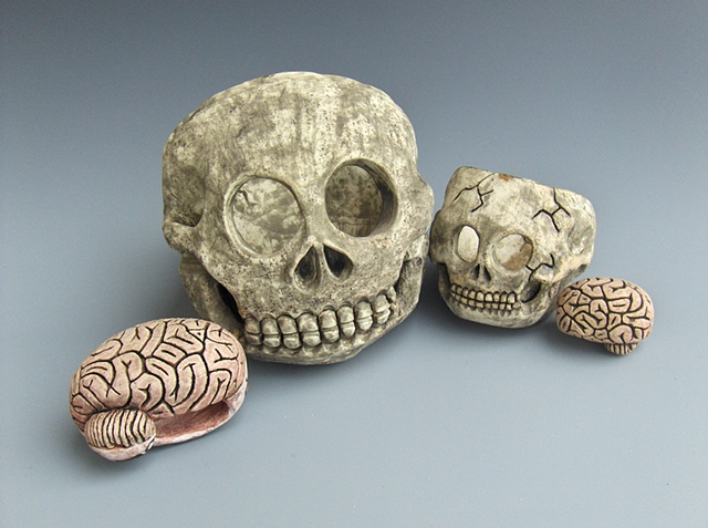 Skulls & Brains