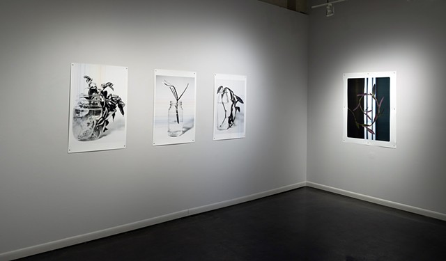 Installation Views: Futures Barren / Futures Abundant, Martha Street Studio Gallery