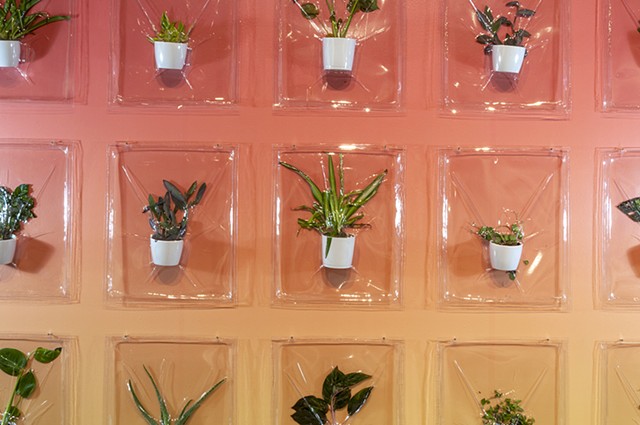  I Inhale/You Exhale, 2020. Vacuum formed potted plants , 304.8 h x 431.8 x 12.7 cm . Installation view of borderLINE : 2020 Biennial of Contemporary Art, Art Gallery of Alberta, Edmonton, 2020. Photo: Art Gallery of Alberta.