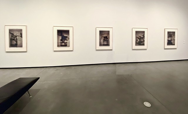 Installation View: The Scene, Art Gallery of Alberta