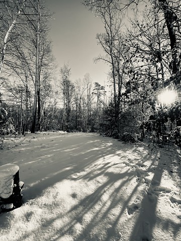 Winter Gloaming - Amelia, VA