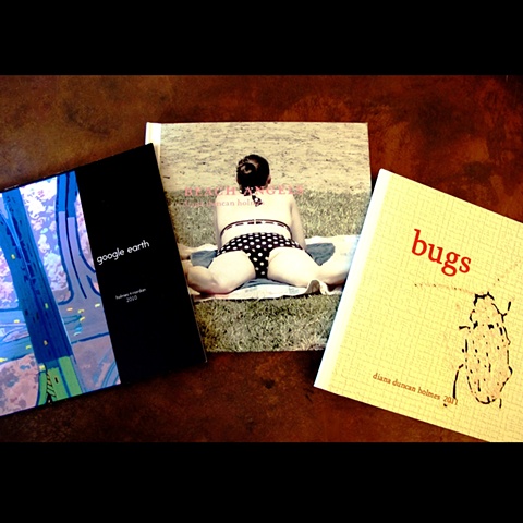 books: google earth, beach angels, bugs