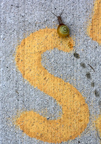 Slimy spots suggest skipping? Such silly snails should share sidewalks. Squishing scenarios seem so supposable.
