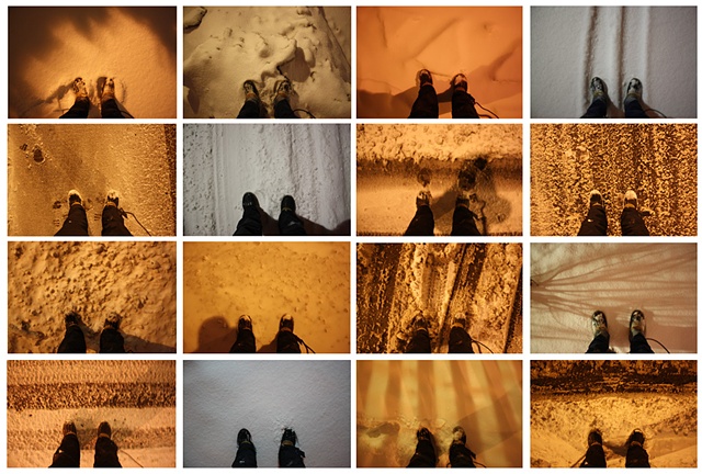 16 species of snow