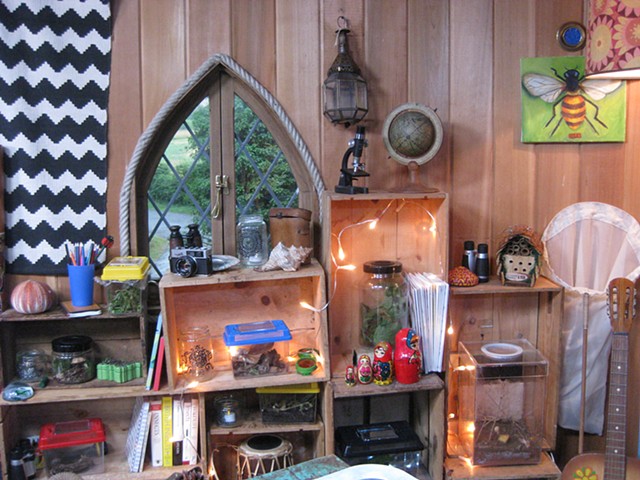 Mini-Beast Adventure