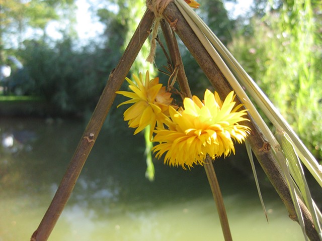 Mini-Beast Adventure