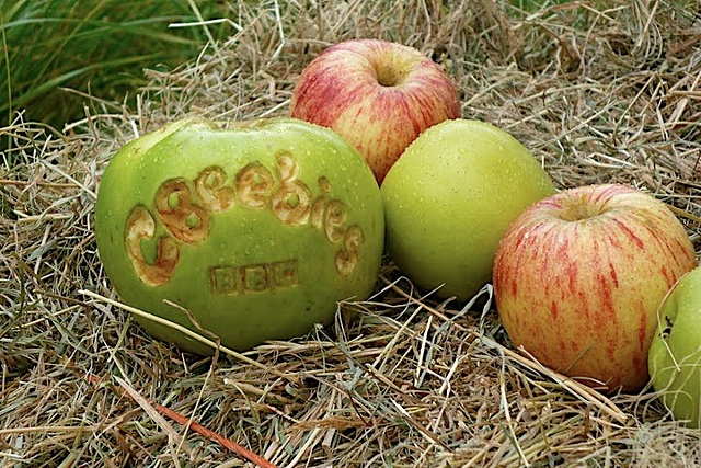 Cbeebies Autumn Song