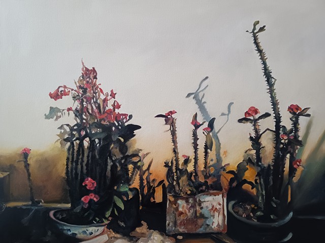 Evening Shadows. £750.00