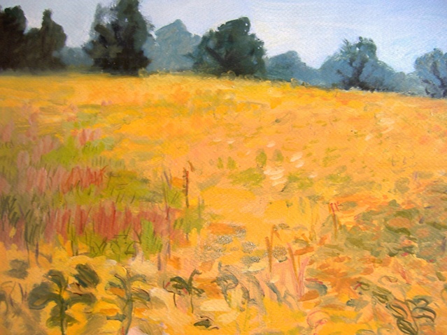August Meadows