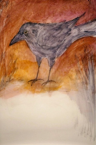 Rose Crow