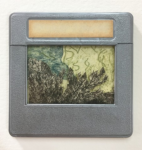 Tiny Forest