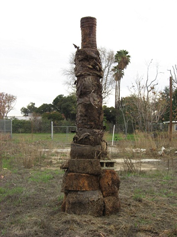 Seth Pringle Reconstructed Palm Tree